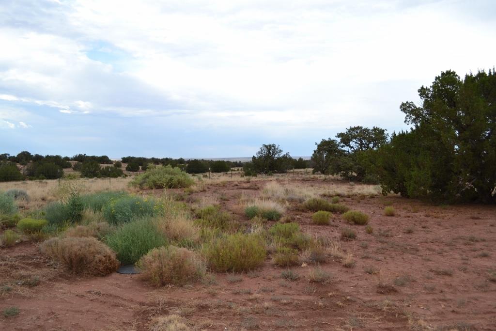 123 County Road Concho, AZ 85924 - Photo 50 of 55