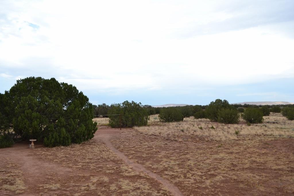 123 County Road Concho, AZ 85924 - Photo 51 of 55