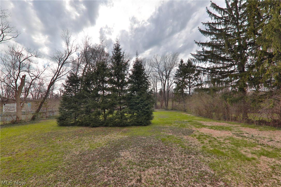 1798 Center Road Avon, OH 44011 - Photo 29 of 30 Mature pine trees near the above ground pool
