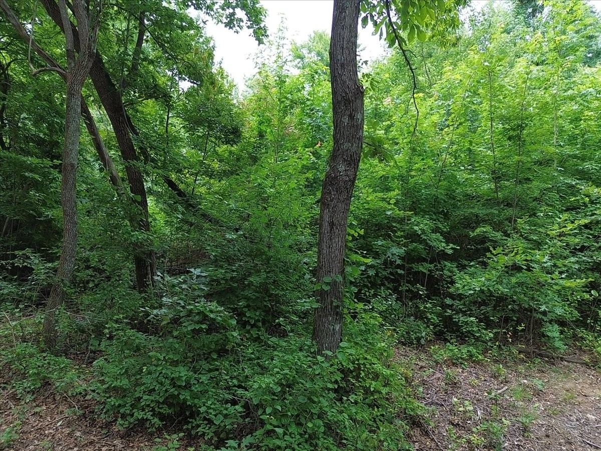 204 Charlie Crosslin Road Manchester, TN 37355 - Photo 36 of 63 Gallery Image 36