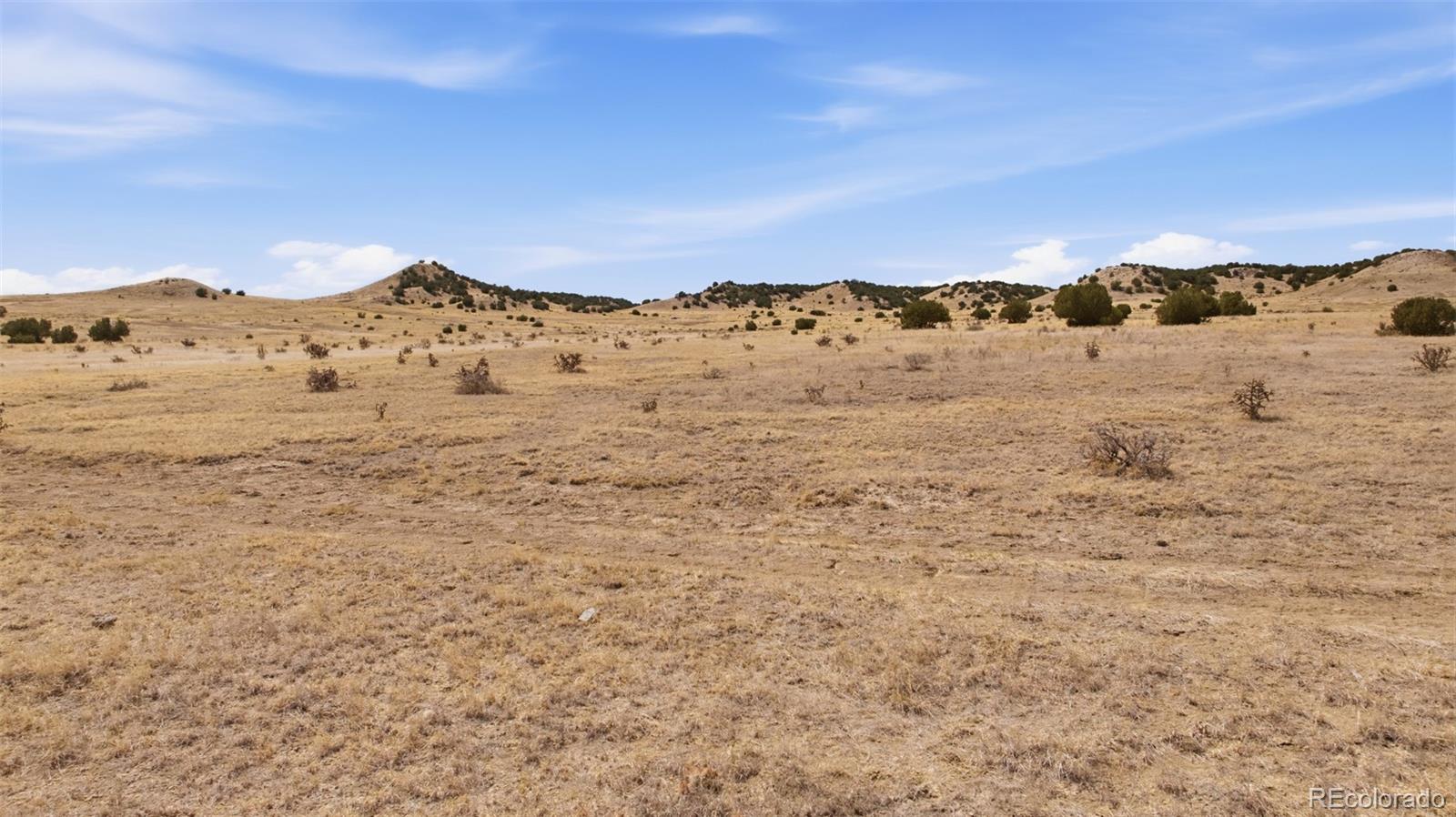 0 Longhorn Trail Model, CO 81059 - Photo 3 of 10