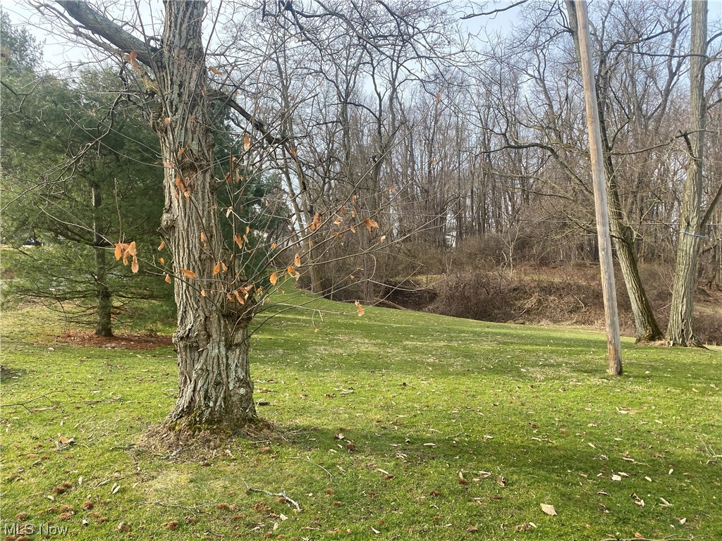 56 North Hametown Road Akron, OH 44321 - Photo 41 of 41 View of yard