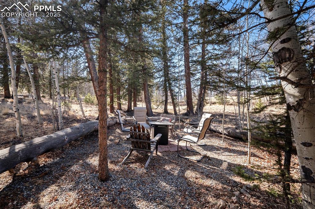 654 Piute Way Como, CO 80432 - Photo 24 of 25 a view of outdoor space yard and patio