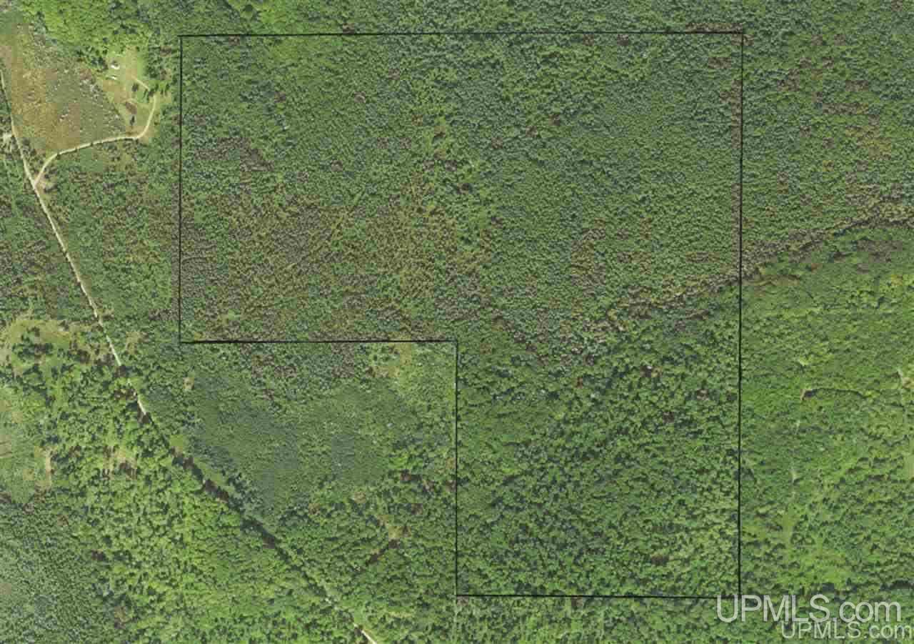 Tbd Camp 23 Road Germfask, MI 49840 - Photo 7 of 7