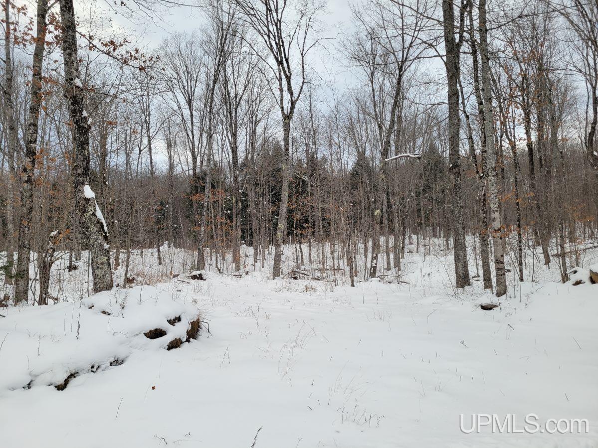 Tbd Tbd Off Wide Waters Road Crystal Falls, MI 49920 - Photo 2 of 3
