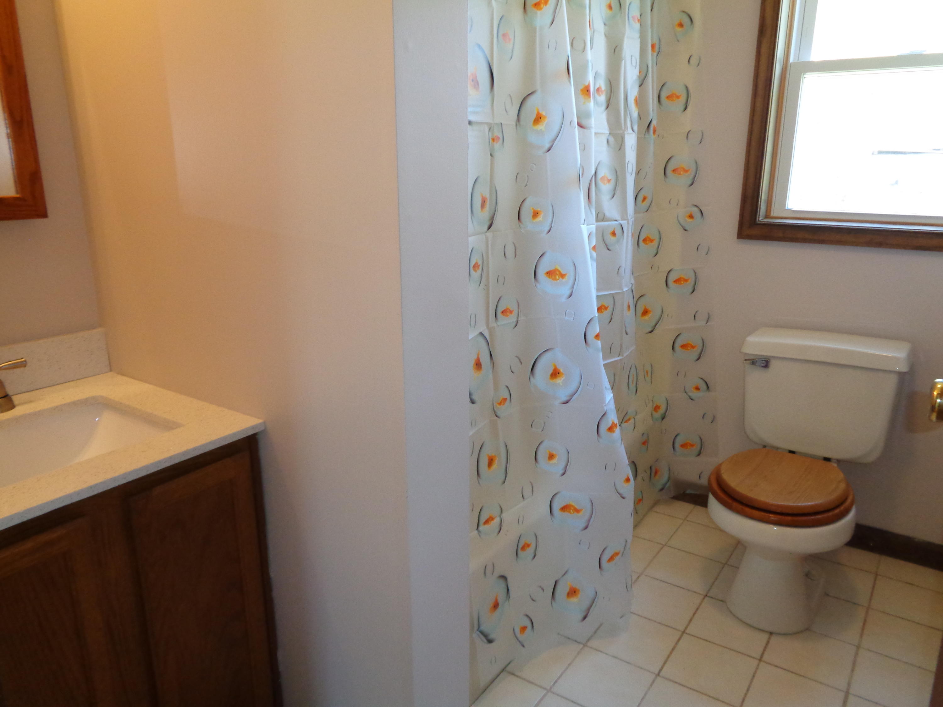 123 Killick Pond Road Hollis Center, ME 04042 - Photo 16 of 52 DSC09979