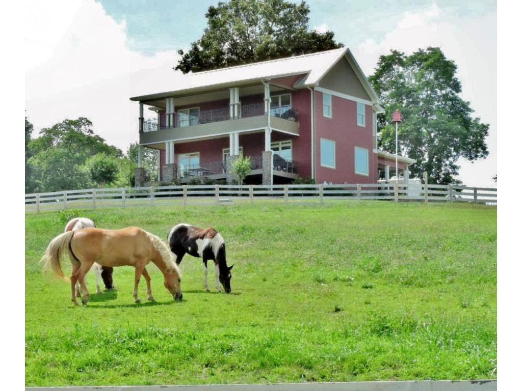 468 Double Springs Road Fall Branch, TN 37656 - Photo 1 of 24 A horse lovers paradise