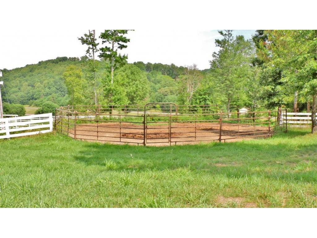 468 Double Springs Road Fall Branch, TN 37656 - Photo 20 of 24 Horse training area