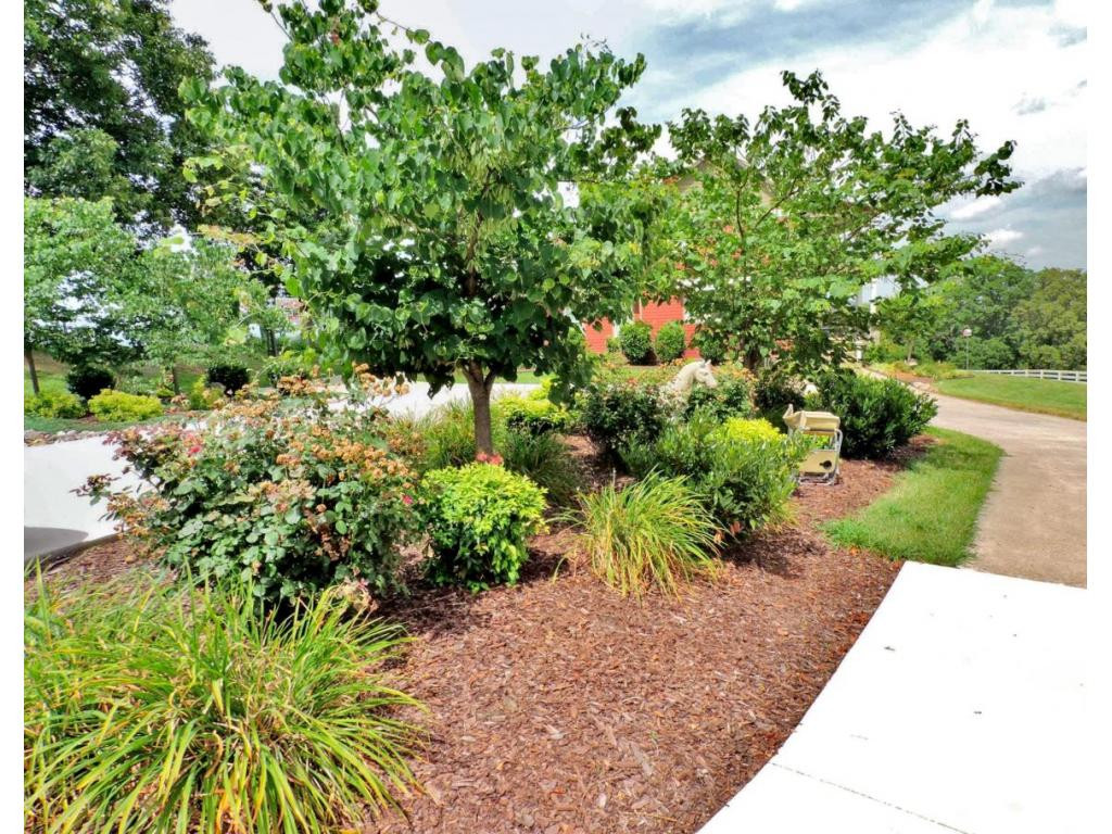 468 Double Springs Road Fall Branch, TN 37656 - Photo 5 of 24 Gorgeous landscaping