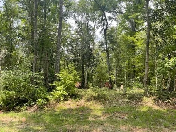 $79,000 | Lot 14 Crestwood Drive, Tallahassee, FL 32311