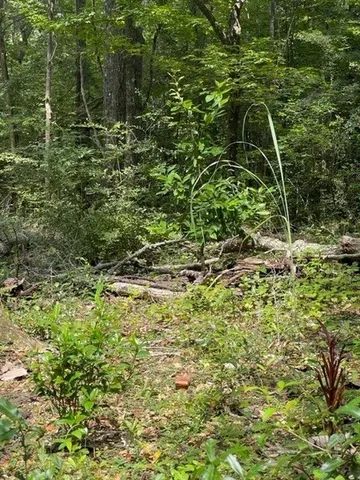 $79,000 | Lot 14 Crestwood Drive, Tallahassee, FL 32311