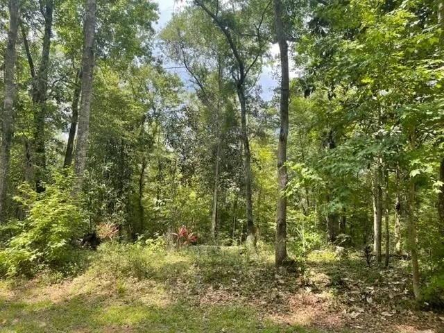 $79,000 | Lot 14 Crestwood Drive, Tallahassee, FL 32311