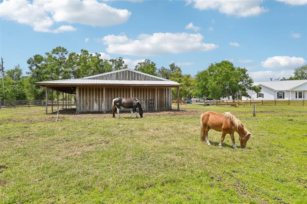 21019 Lonesome Acre Road Wimauma, FL 33598 - Photo 42 of 60