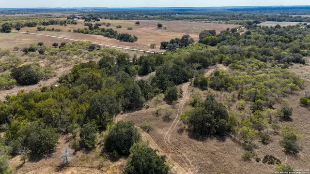 an aerial view of mountain with trees