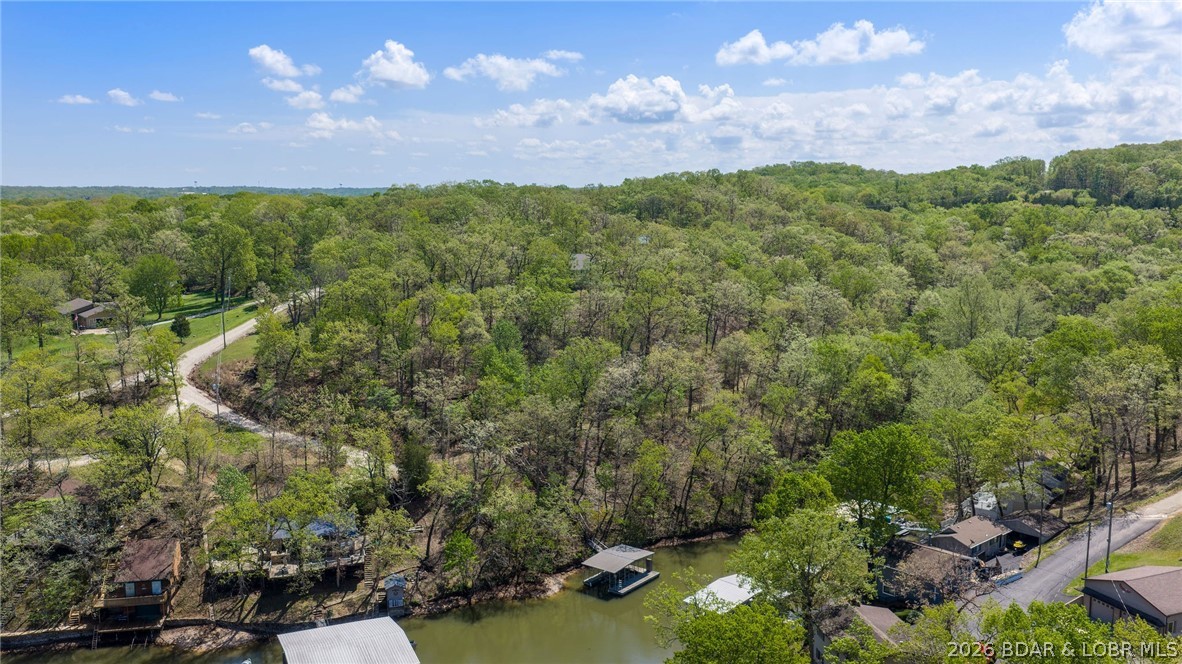 87 Perkins Road Sunrise Beach, MO 65079 - Photo 67 of 87 Aerial of Dock
