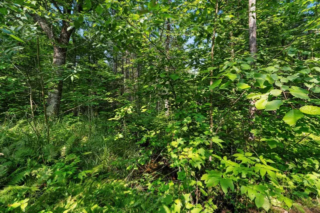 $405,000 | W6380 County Road K, Amberg, WI 54102