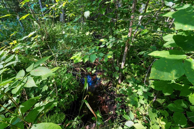 $405,000 | W6380 County Road K, Amberg, WI 54102