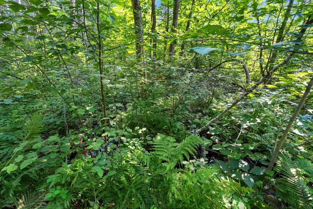 $405,000 | W6380 County Road K, Amberg, WI 54102