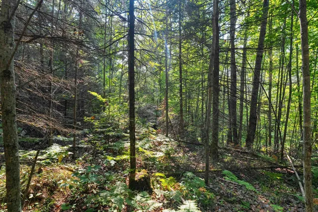 $405,000 | W6380 County Road K, Amberg, WI 54102