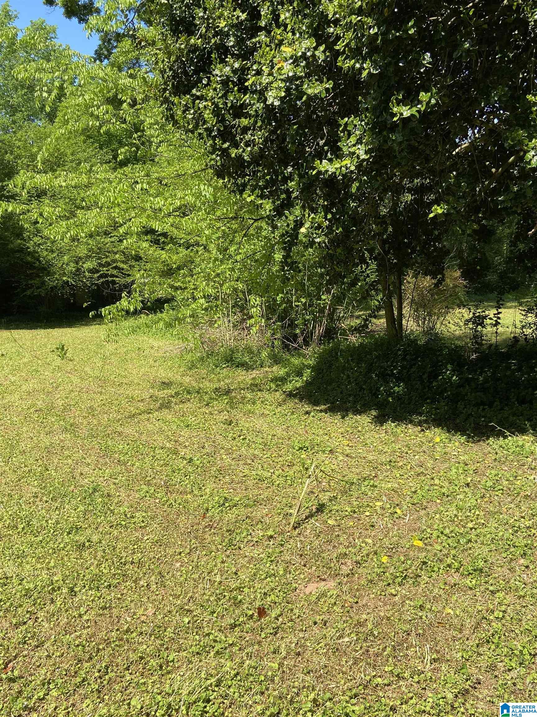 1723 Iron City Road, Unit 1 Anniston, AL 36207 - Photo 1 of 4