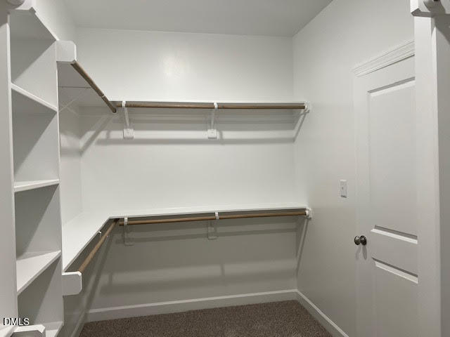147 Seahawk Way Zebulon, NC 27597 - Photo 14 of 23 a view of walk in closet