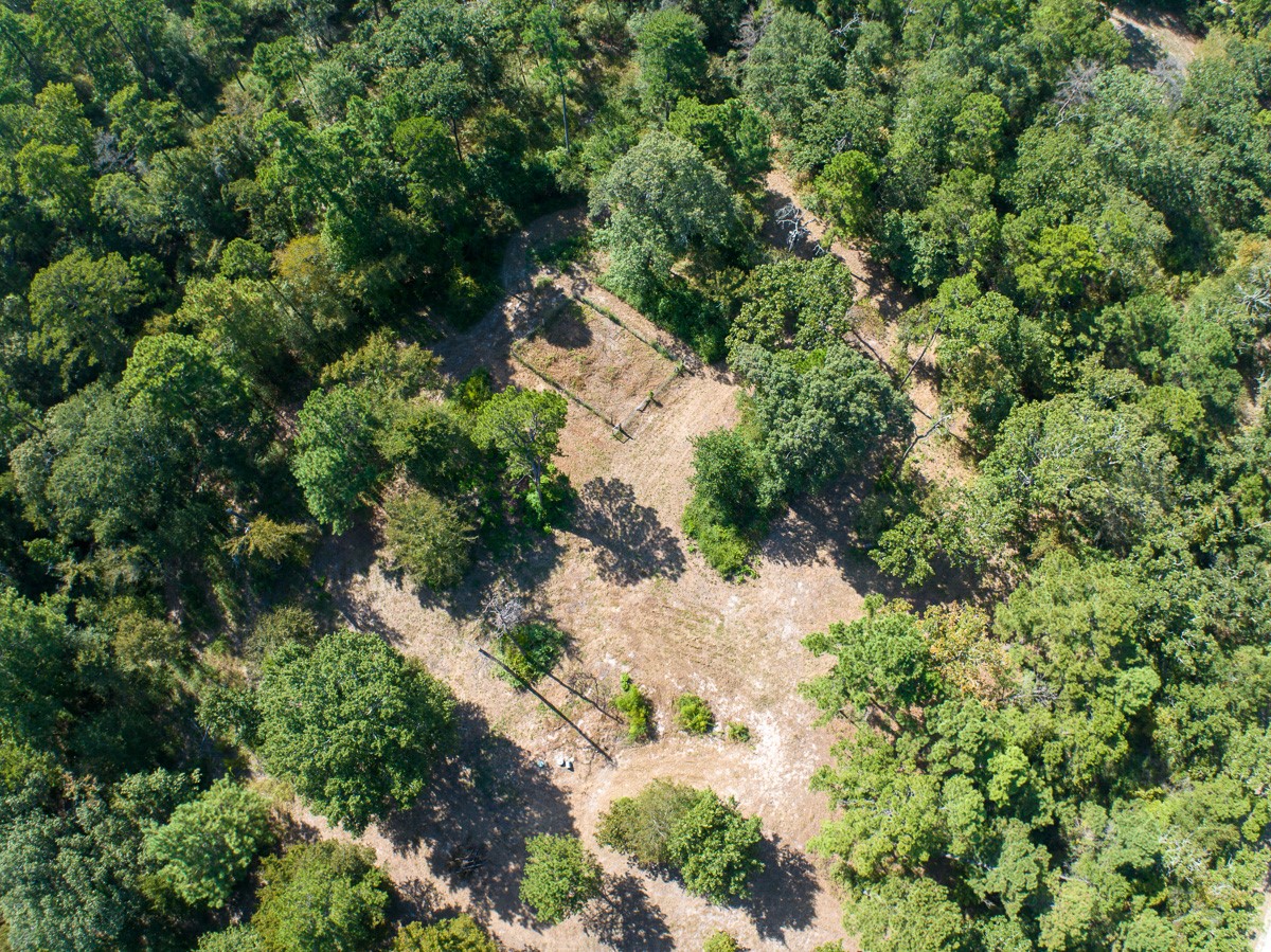 134 Cedar Ridge Huntsville, TX 77320 - Photo 22 of 24 Gallery Image 22