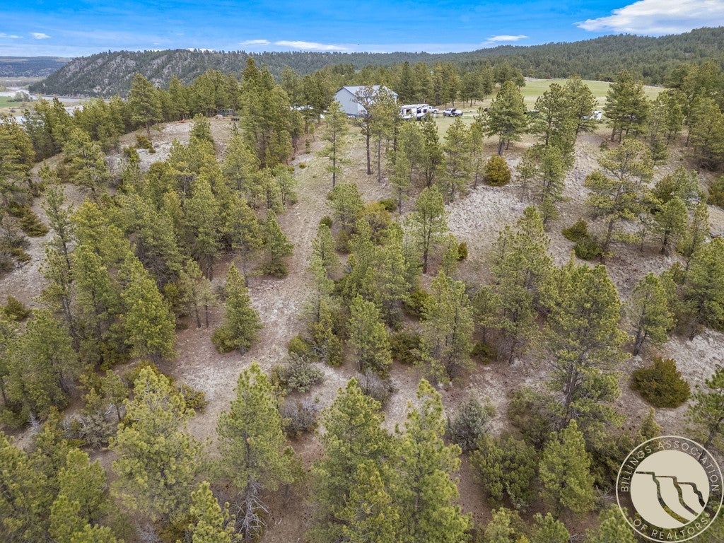 5 Appaloosa Rdg Road Reed Point, MT 59069 - Photo 4 of 34 Gallery Image 4
