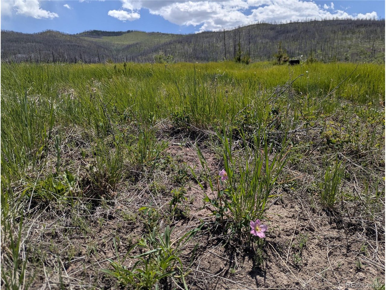 904 Forbes Park Road Fort Garland, CO 81133 - Photo 10 of 16 a view of a lush green outdoor space with a lake view