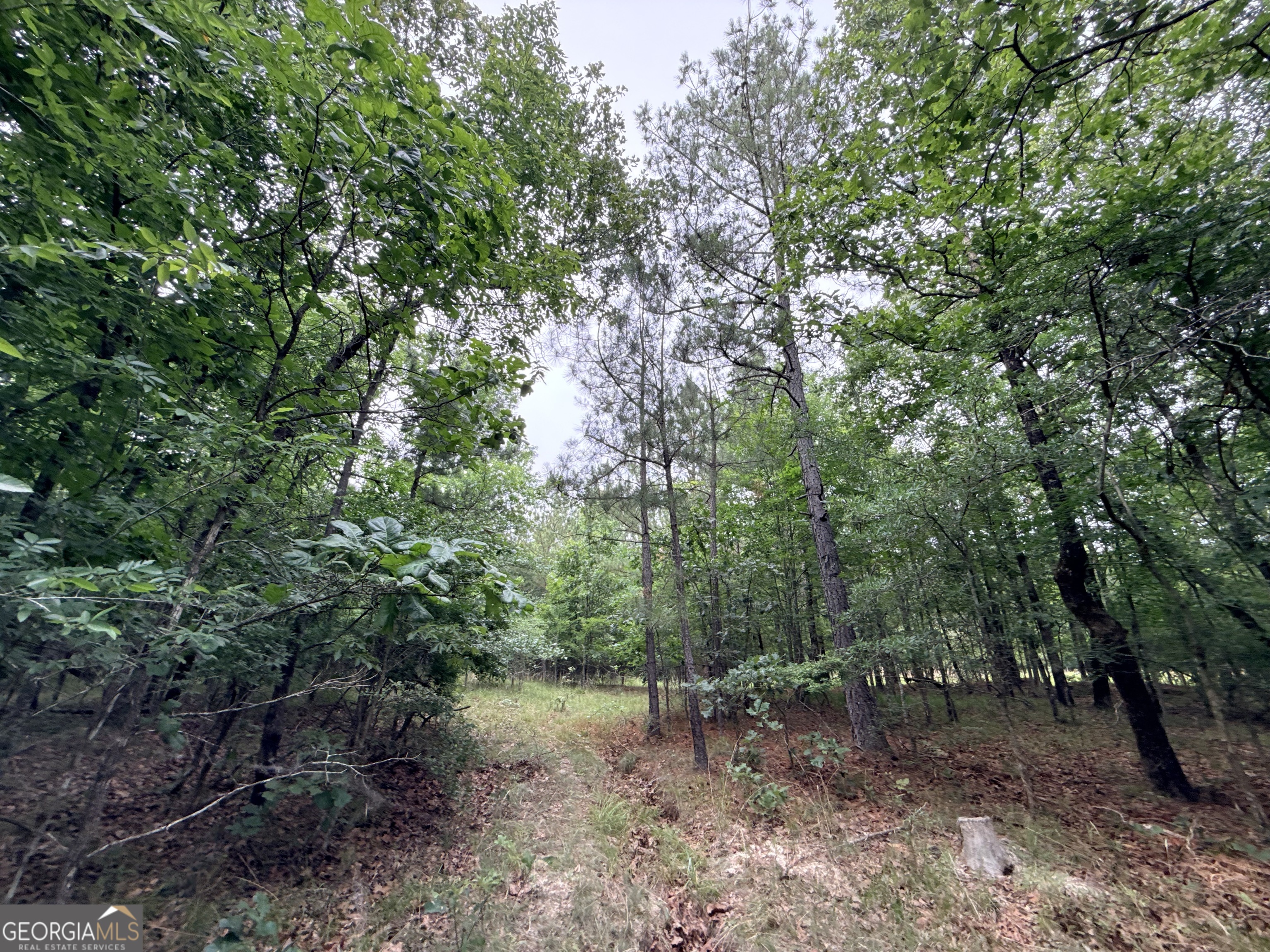 2 Bethesda Church Road Lexington, GA 30648 - Photo 16 of 66