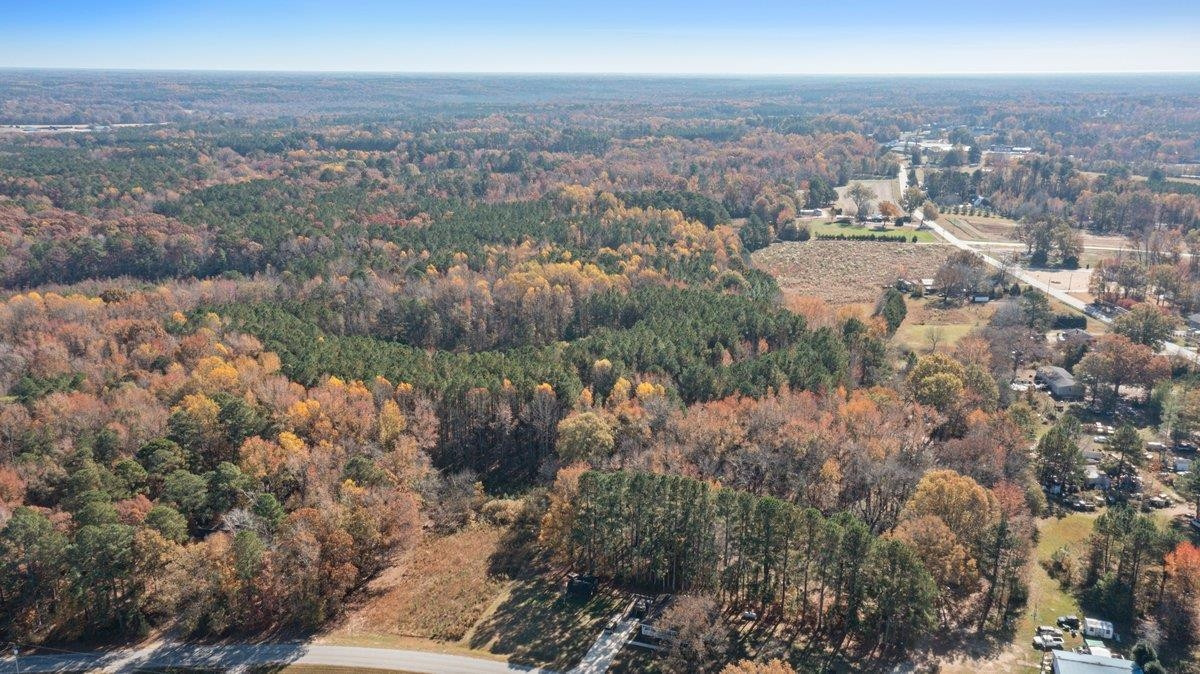 0 Davis Road Zebulon, NC 27597 - Photo 4 of 5 Photo 4