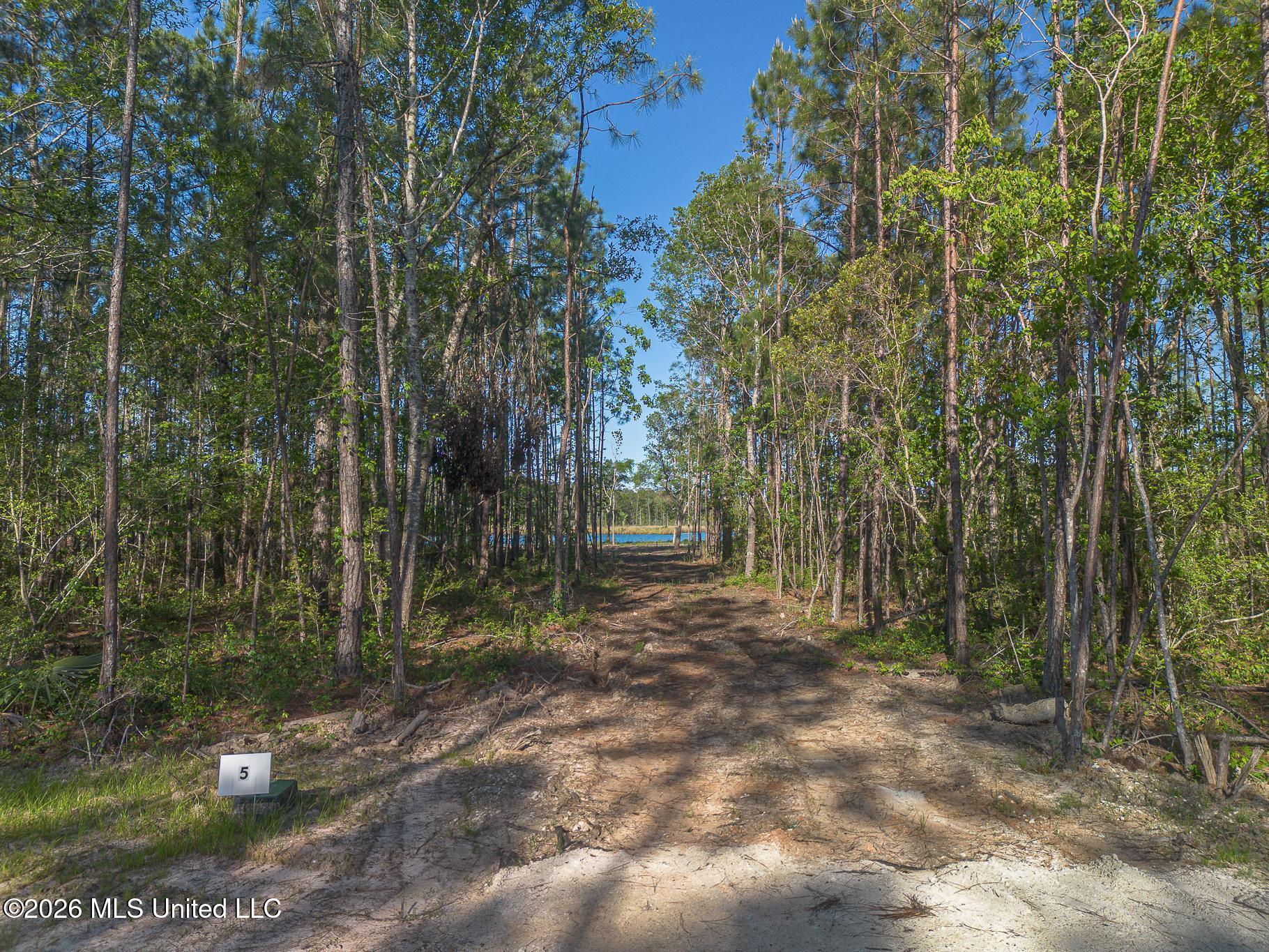 13040 Enciente Point Drive Kiln, MS 39556 - Photo 19 of 30 Enciente-86