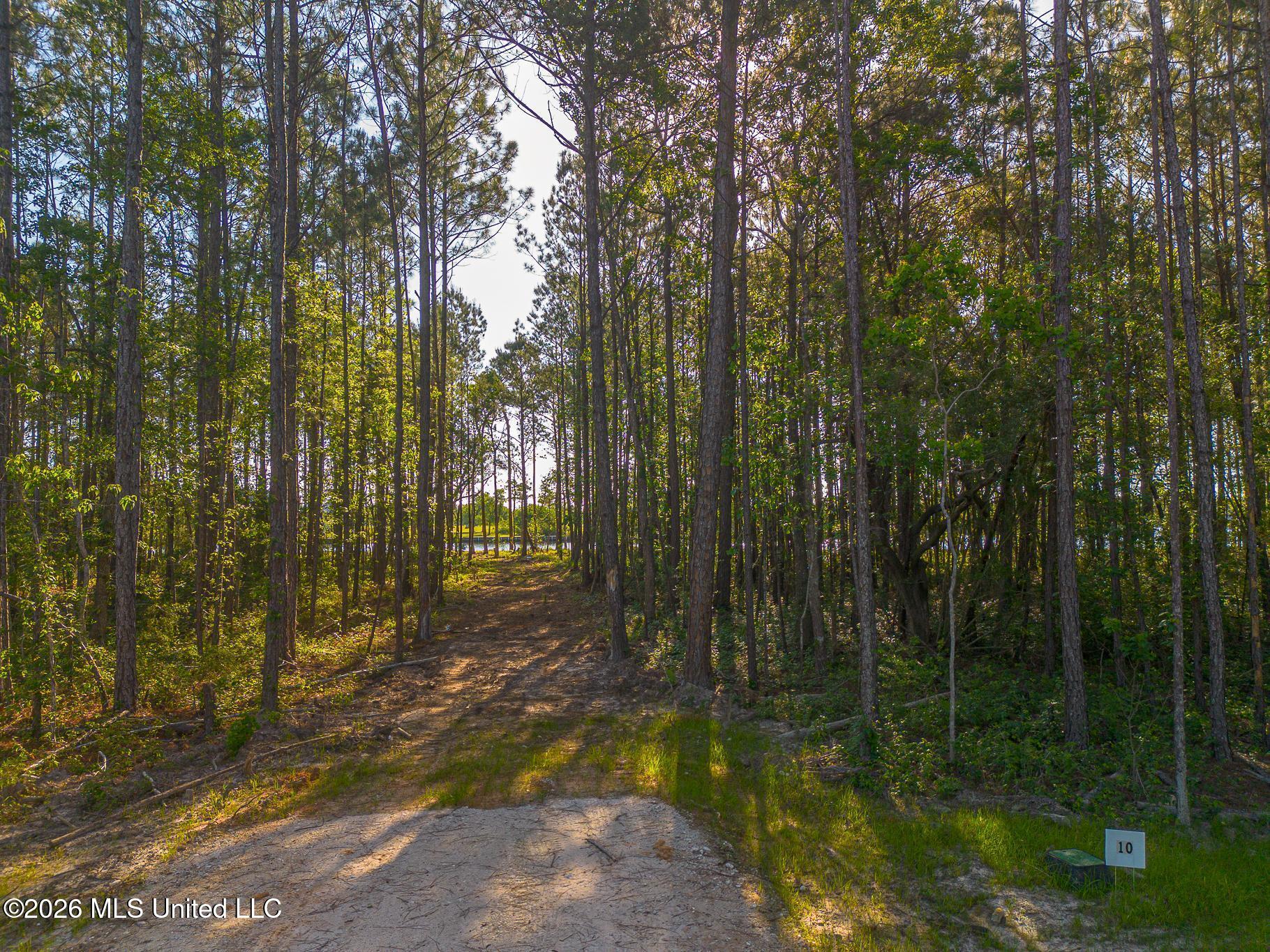 13040 Enciente Point Drive Kiln, MS 39556 - Photo 20 of 30 Enciente-87