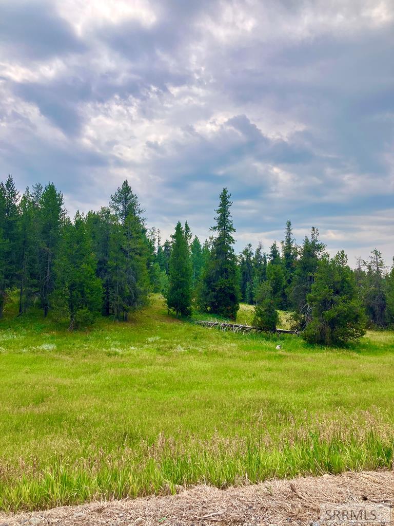 4402 Granite Ridge North Ashton, ID 83420 - Photo 11 of 19