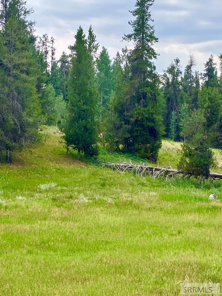 4402 Granite Ridge North Ashton, ID 83420 - Photo 12 of 19