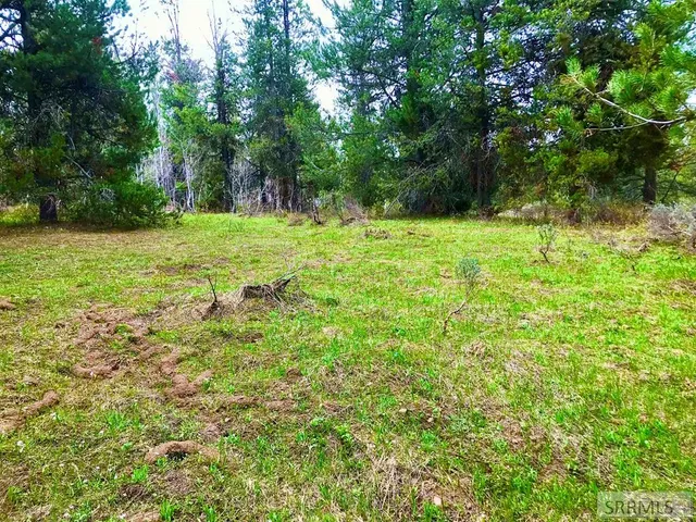 $193,000 | 4402 Granite Ridge North, Ashton, ID 83420