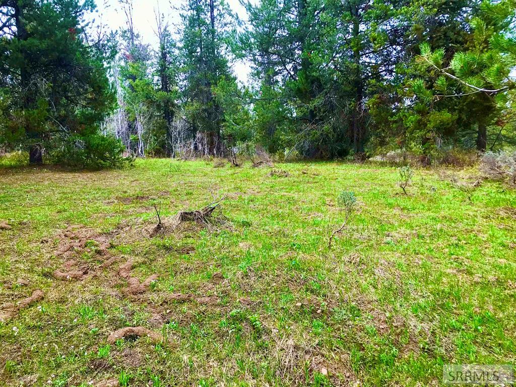 4402 Granite Ridge North Ashton, ID 83420 - Photo 13 of 19