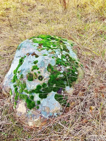 $193,000 | 4402 Granite Ridge North, Ashton, ID 83420