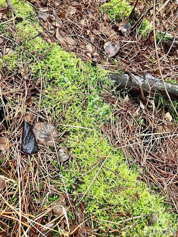 $193,000 | 4402 Granite Ridge North, Ashton, ID 83420