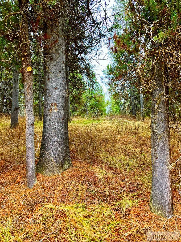 4402 Granite Ridge North Ashton, ID 83420 - Photo 17 of 19