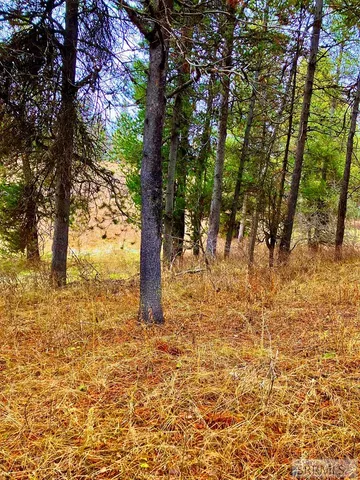 $193,000 | 4402 Granite Ridge North, Ashton, ID 83420