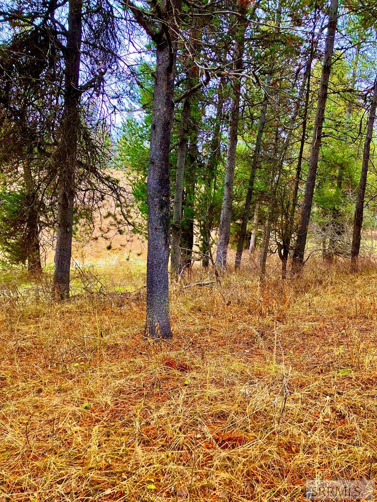 4402 Granite Ridge North Ashton, ID 83420 - Photo 18 of 19