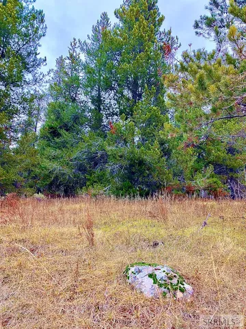 $193,000 | 4402 Granite Ridge North, Ashton, ID 83420