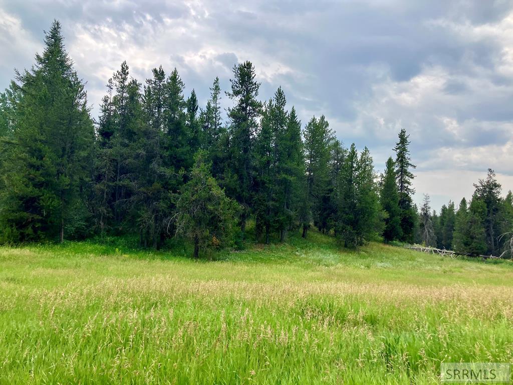 4402 Granite Ridge North Ashton, ID 83420 - Photo 3 of 19