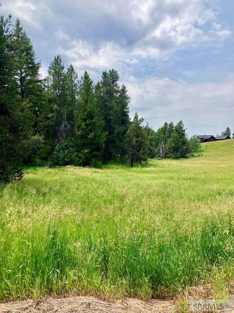 4402 Granite Ridge North Ashton, ID 83420 - Photo 4 of 19