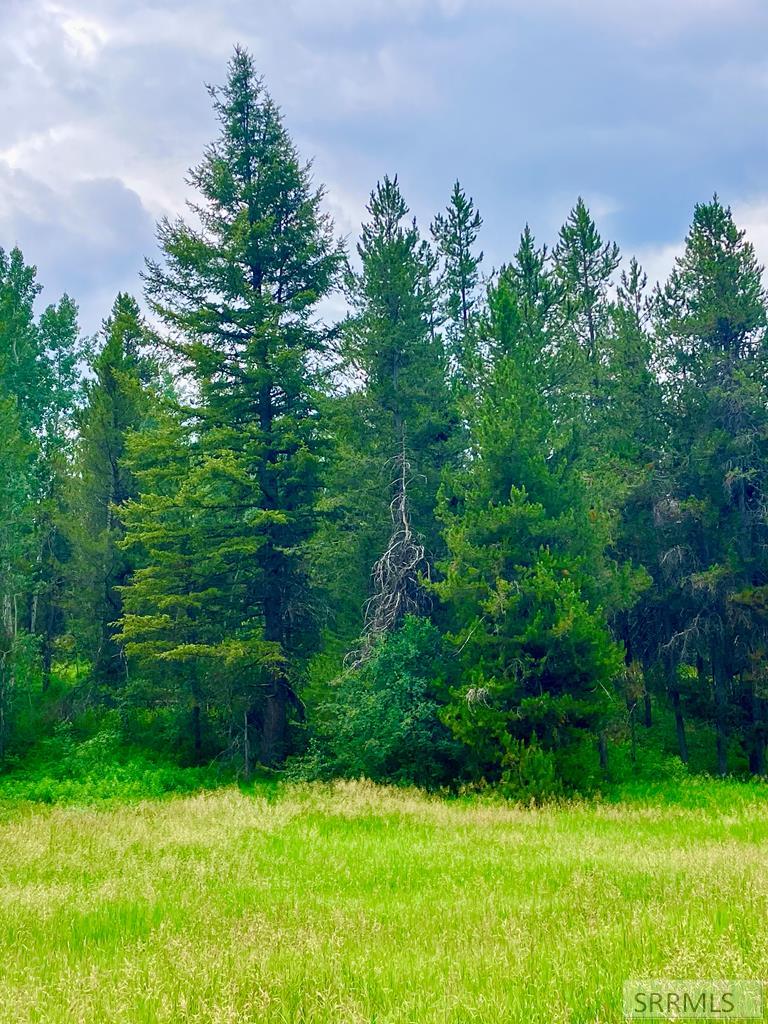 4402 Granite Ridge North Ashton, ID 83420 - Photo 9 of 19