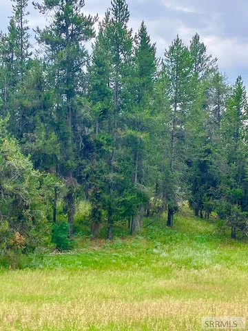 $193,000 | 4402 Granite Ridge North, Ashton, ID 83420