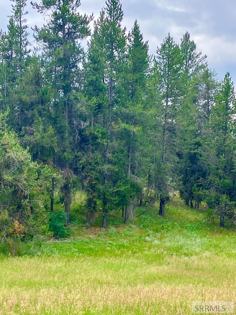 4402 Granite Ridge North Ashton, ID 83420 - Photo 10 of 19