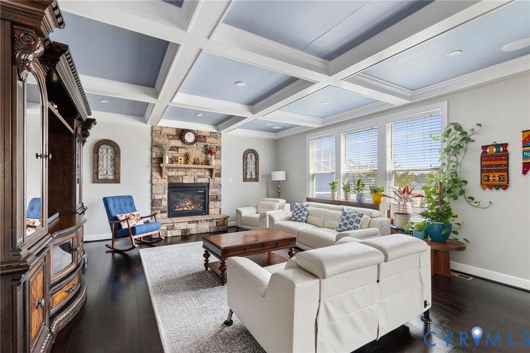 12008 Stable Ridge Terrace Glen Allen, VA 23059 - Photo 14 of 38 a living room with fireplace furniture and a potted plant