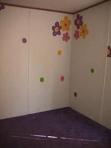 2400 East Purdue Road Muncie, IN 47303 - Photo 6 of 9