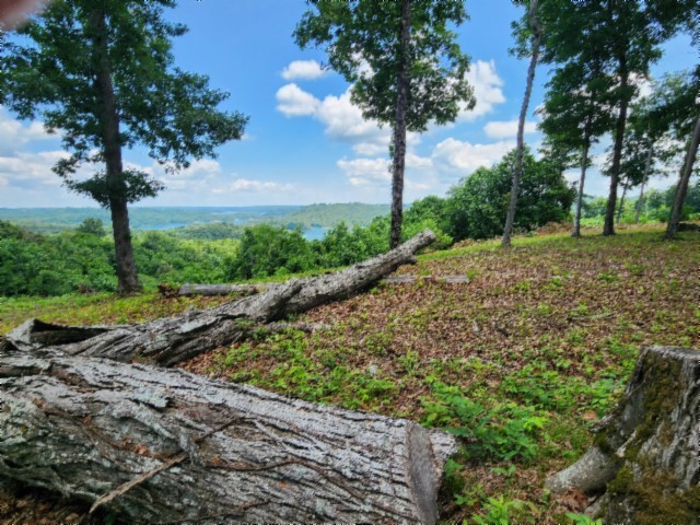 0 Rock Fish Road East Celina, TN 38551 - Photo 5 of 27
